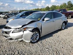 Salvage cars for sale at Memphis, TN auction: 2015 Lexus ES 300H