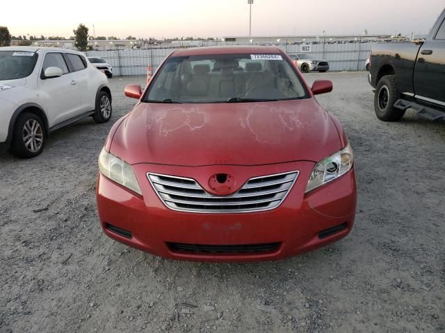 2007 Toyota Camry Hybrid