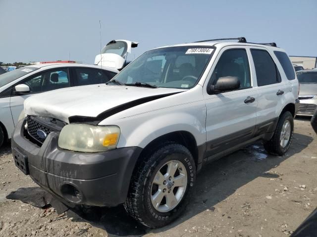 2007 Ford Escape XLT