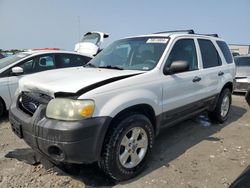 Salvage cars for sale at Cahokia Heights, IL auction: 2007 Ford Escape XLT