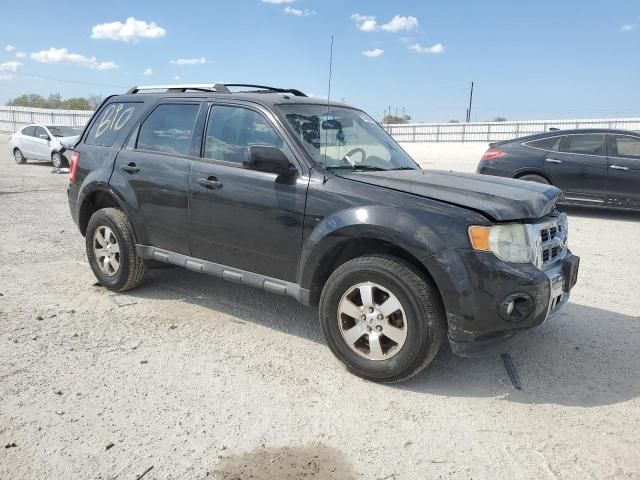 2011 Ford Escape Limited