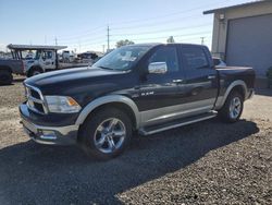 Salvage cars for sale at Eugene, OR auction: 2010 Dodge RAM 1500