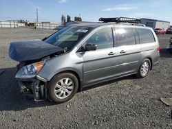 Honda Odyssey exl Vehiculos salvage en venta: 2009 Honda Odyssey EXL