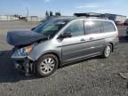 2009 Honda Odyssey EXL