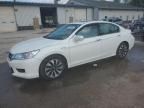 2015 Honda Accord Touring Hybrid