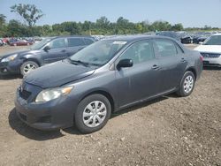 Toyota salvage cars for sale: 2010 Toyota Corolla Base