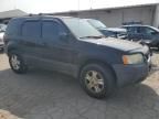 2004 Ford Escape XLT