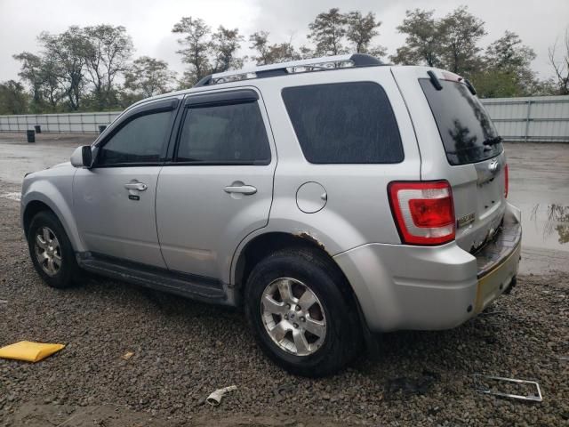 2011 Ford Escape Limited