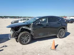 Salvage cars for sale at Houston, TX auction: 2024 Lexus NX 250 Base