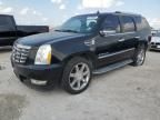 2010 Cadillac Escalade