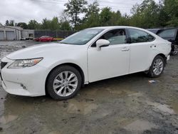 Lexus salvage cars for sale: 2013 Lexus ES 300H