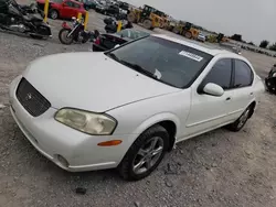 Nissan Maxima gxe salvage cars for sale: 2001 Nissan Maxima GXE