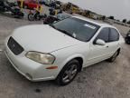 2001 Nissan Maxima GXE