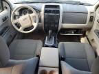 2012 Ford Escape XLS