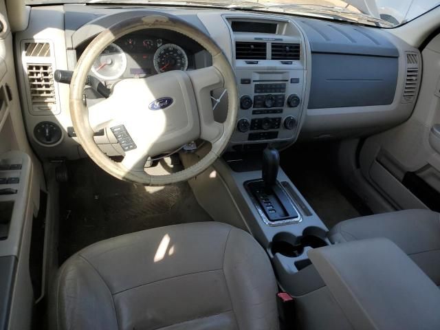 2008 Ford Escape XLT