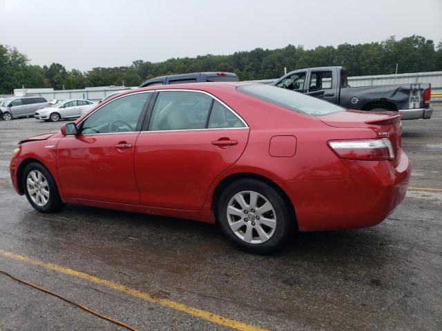 2008 Toyota Camry Hybrid