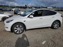 Salvage cars for sale at Windsor, NJ auction: 2023 Tesla Model Y