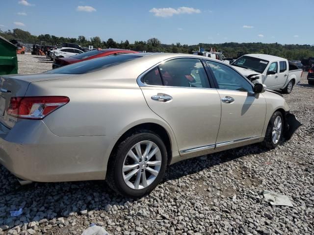 2010 Lexus ES 350