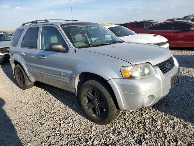 2007 Ford Escape HEV