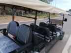 2024 Other 2024 Dreampro Golf Cart