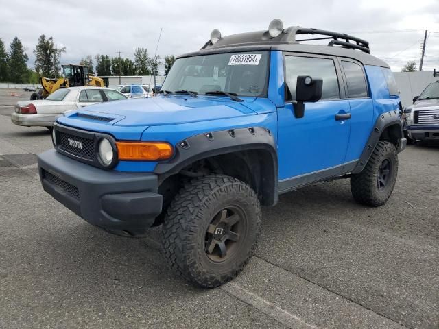 2007 Toyota FJ Cruiser