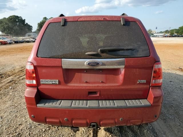 2011 Ford Escape Limited