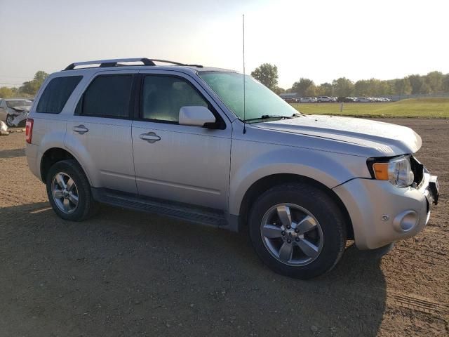 2011 Ford Escape Limited