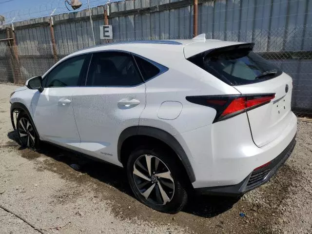 2021 Lexus NX 300H Base