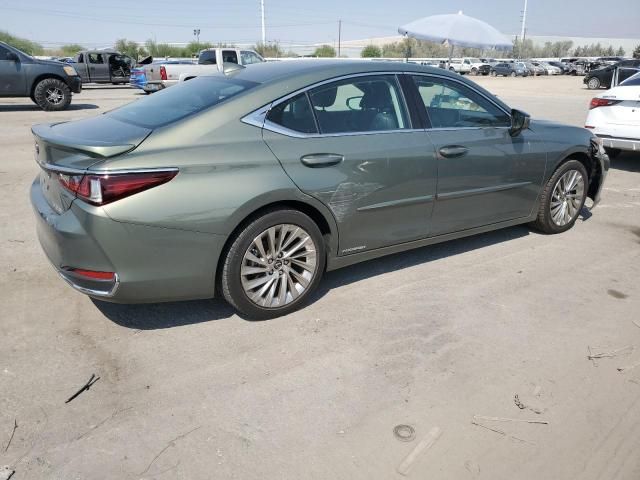 2020 Lexus ES 300H Luxury