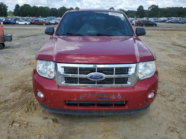 2011 Ford Escape XLT