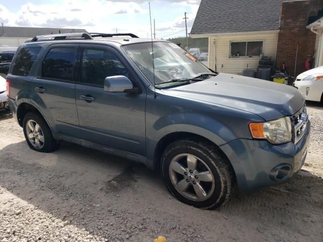 2011 Ford Escape Limited