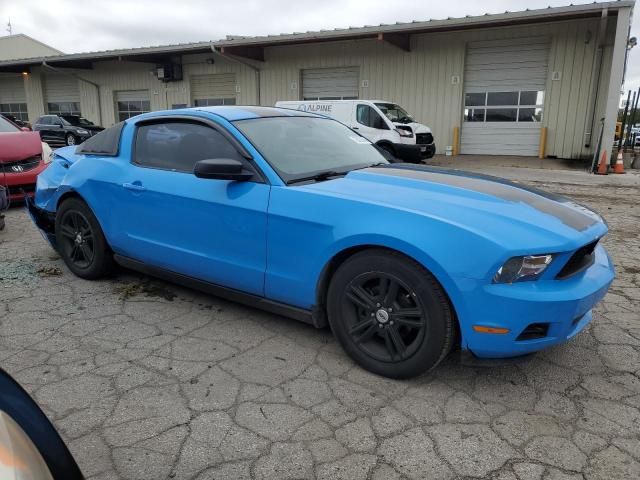 2010 Ford Mustang