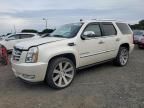 2008 Cadillac Escalade Luxury