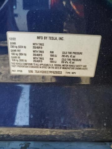 2023 Tesla Model Y