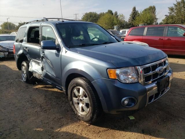 2010 Ford Escape Limited