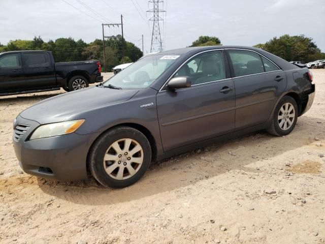 2009 Toyota Camry Hybrid