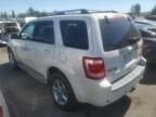 2010 Ford Escape Limited