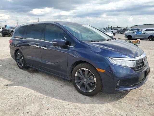 2024 Honda Odyssey Elite