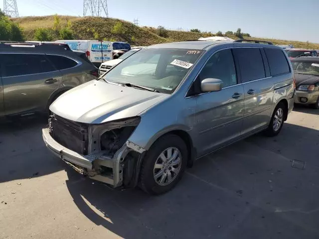 2008 Honda Odyssey EXL