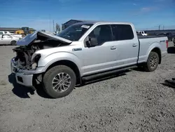 Ford salvage cars for sale: 2019 Ford F150 Supercrew