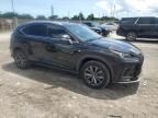 2019 Lexus NX 300 Base