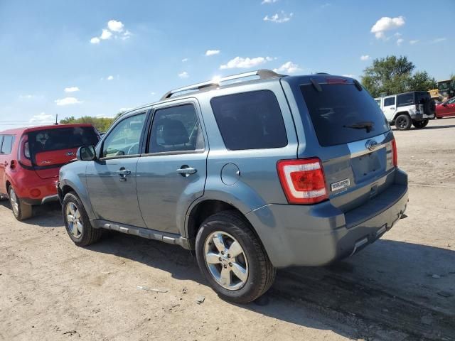 2010 Ford Escape Limited