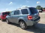 2010 Ford Escape Limited