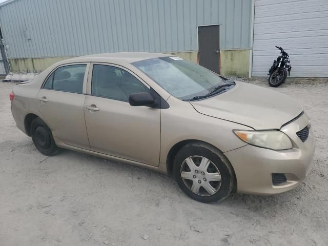 2010 Toyota Corolla Base