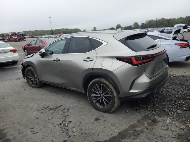 2023 Lexus NX 350