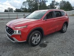 Salvage cars for sale at Gastonia, NC auction: 2023 Hyundai Santa FE SEL