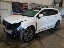 Salvage cars for sale at Avon, MN auction: 2021 Hyundai Santa FE Calligraphy