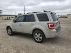 2008 Ford Escape Limited