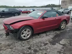 Ford salvage cars for sale: 2014 Ford Mustang