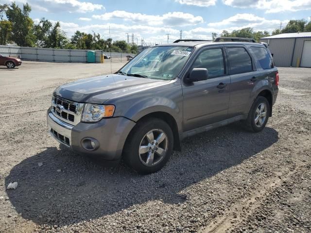 2009 Ford Escape XLT